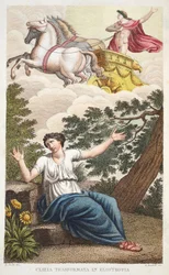Clytie in eine Blume oder Clizia Transformata in Eliotropia, Buch IV, Illustration aus Ovids Metamorphosen, Florenz, 1832